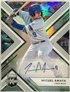 Miguel Amaya