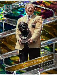 Terry Bradshaw