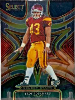 Troy Polamalu