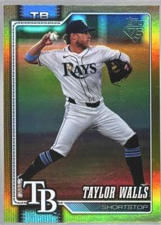 Taylor Walls