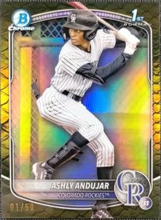 Ashly Andujar