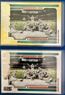Miami Dolphins