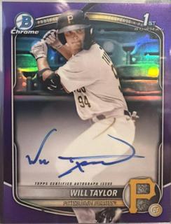 Will Taylor