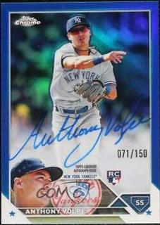 Anthony Volpe