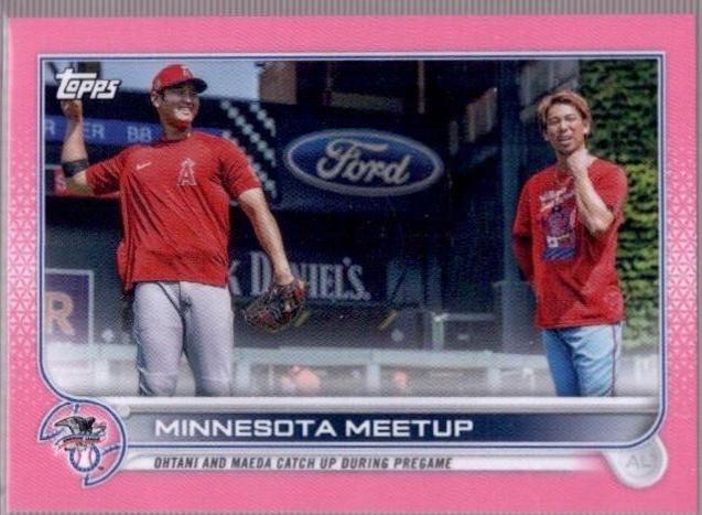 Minnesota Meetup [Mini Pink] #122