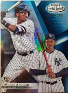 Miguel Andujar