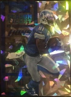 Calvin Johnson Jr.
