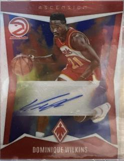 Dominique Wilkins