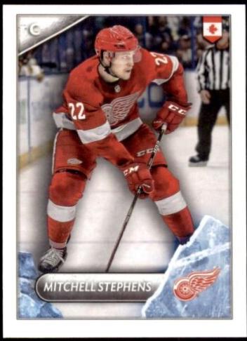 Mitchell Stephens #231