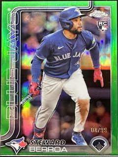 Steward Berroa