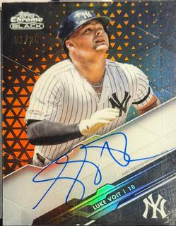 Luke Voit