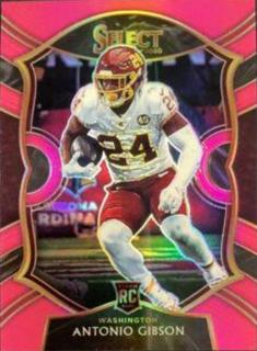 Antonio Gibson