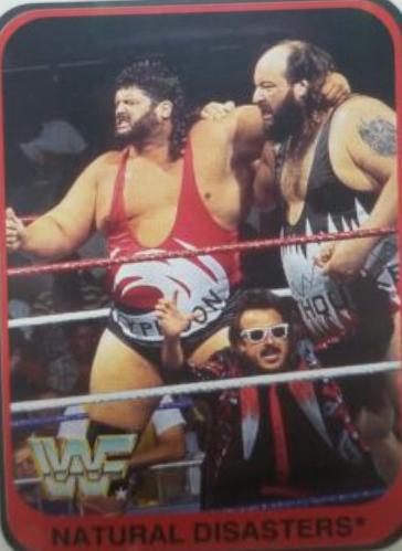 Natural Disasters #5 Wrestling Cards 1991 Merlin WWF