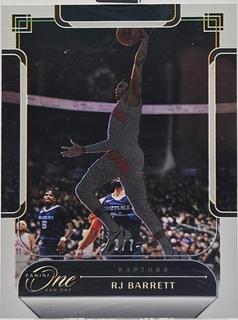 RJ Barrett