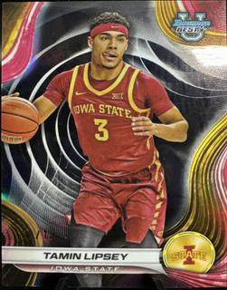 Tamin Lipsey