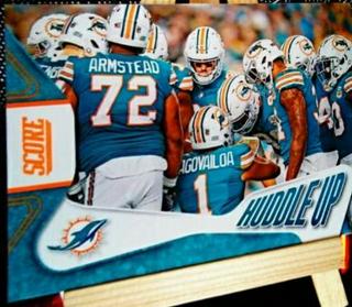 Miami Dolphins