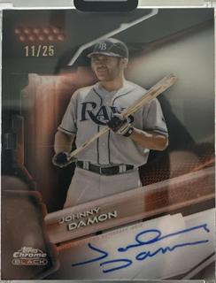 Johnny Damon