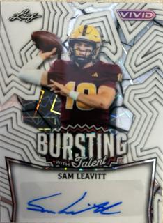 Sam Leavitt