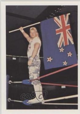 Johnny Ace #19 Wrestling Cards 1988 Wonderama NWA