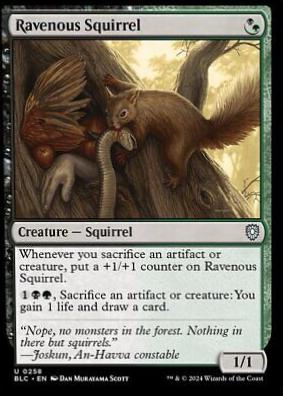 Ravenous Squirrel #258 Magic Bloomburrow Commander