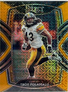 Troy Polamalu