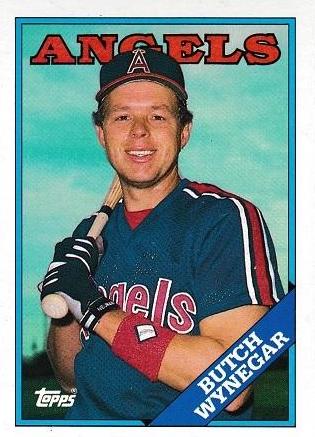Butch Wynegar #737 Baseball Cards 1988 Topps
