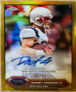 Danny Amendola
