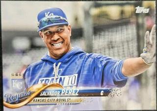 Salvador Perez