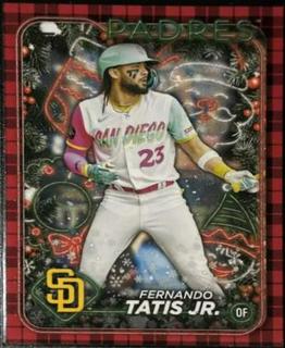 Fernando Tatis Jr.