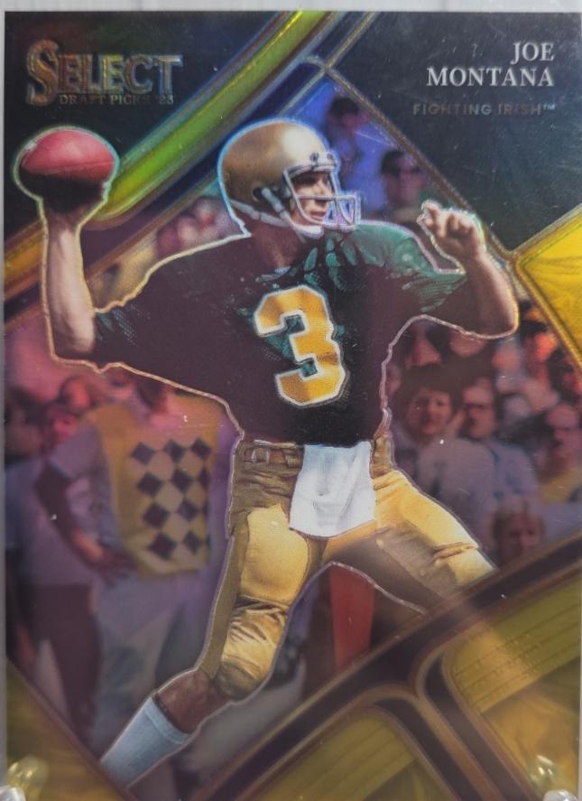 Joe Montana [Gold] #195
