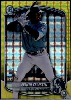 Felnin Celesten