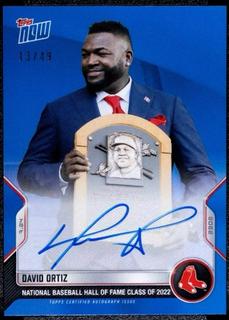 David Ortiz