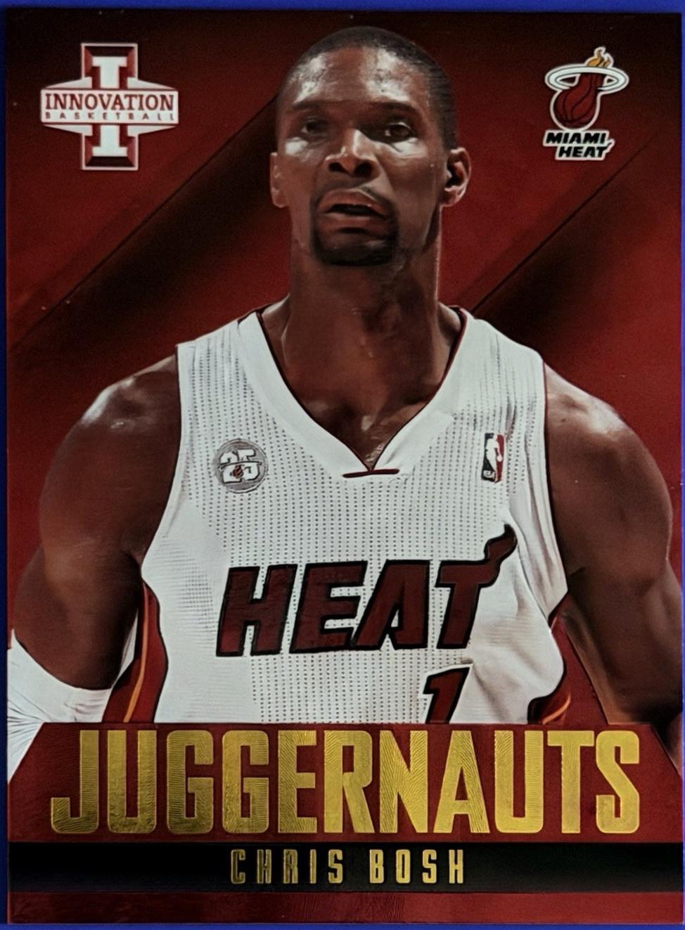 Chris Bosh #25