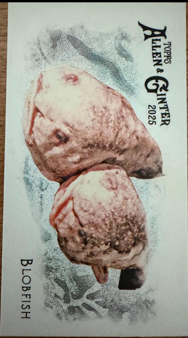 Blobfish #FGW-19