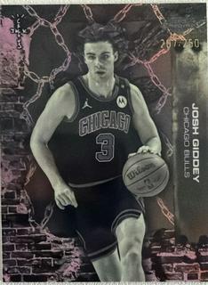 Josh Giddey