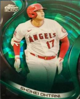 Shohei Ohtani