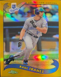 Raul Ibanez
