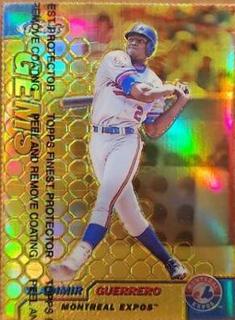 Vladimir Guerrero