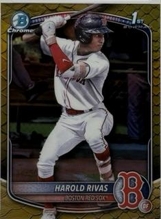 Harold Rivas
