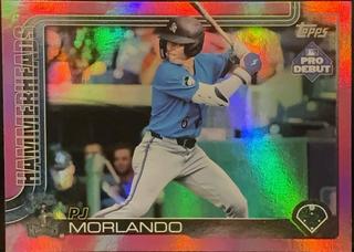 PJ Morlando