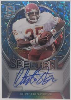 Christian Okoye