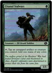 Citanul Stalwart [Foil] #175