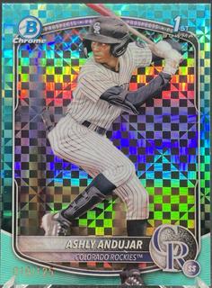 Ashly Andujar