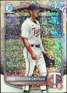 Haritzon Castillo