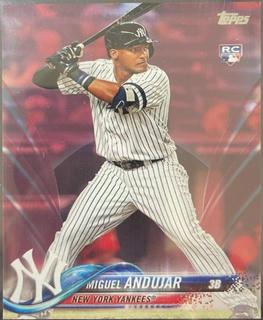 Miguel Andujar