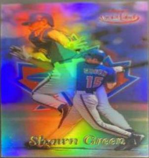 Shawn Green