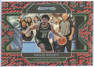 David Roddy
