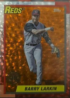 Barry Larkin