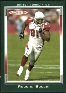 Anquan Boldin