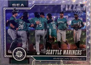 Team Card